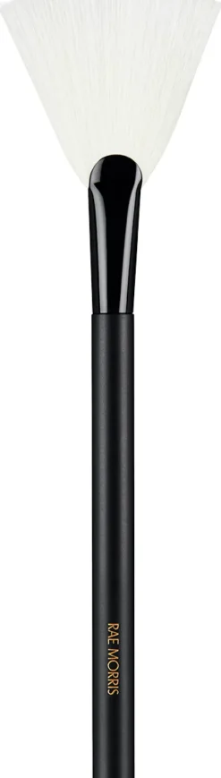 #25 Fan Highlighter|RAE MORRIS Sale
