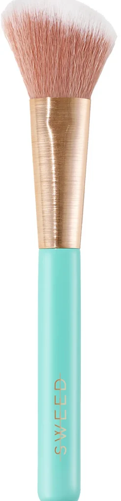 Angled Blush Brush|Sweed Best