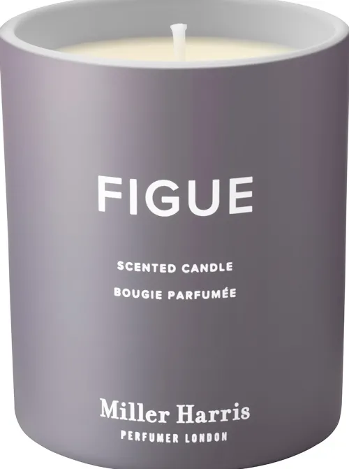 Figue Scented Candle|Miller Harris Sale
