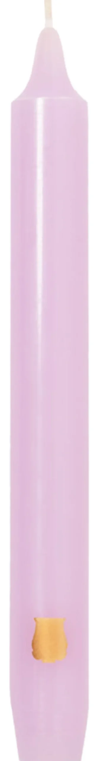 Madeleine Candle|Trudon Best