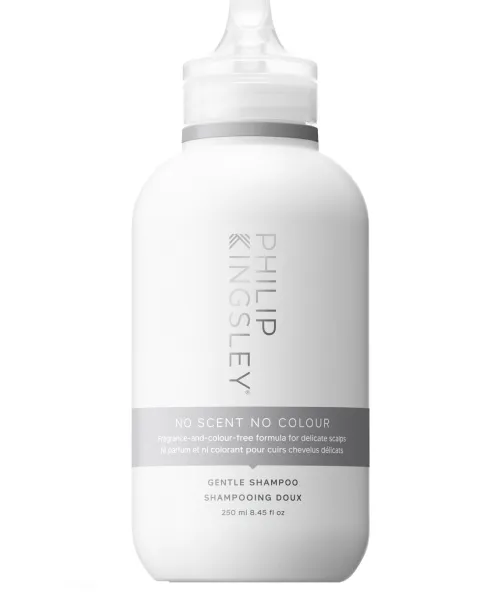 No Scent No Colour Shampoo|Philip Kingsley Best