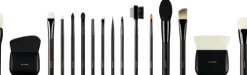 Pro Starter Brush Set ( 16 Piece )|RAE MORRIS Online