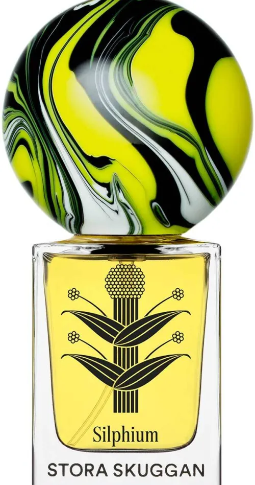 Silphium|STORA SKUGGAN Outlet
