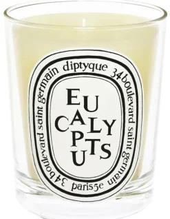 Standard Candle Eucalyptus|Diptyque