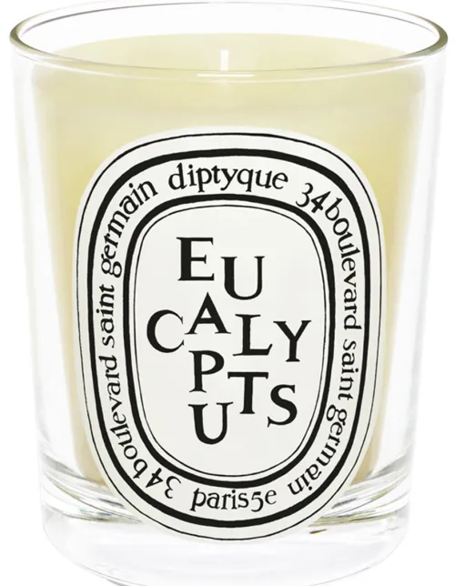 Standard Candle Eucalyptus|Diptyque