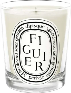 Standard Candle Figuier|Diptyque Discount