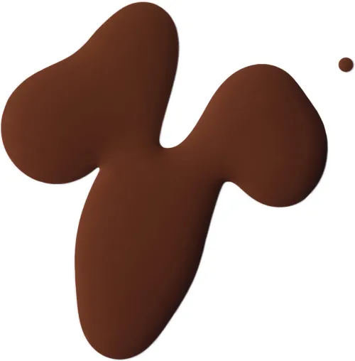 Tinted Face Oil|Kosas Outlet