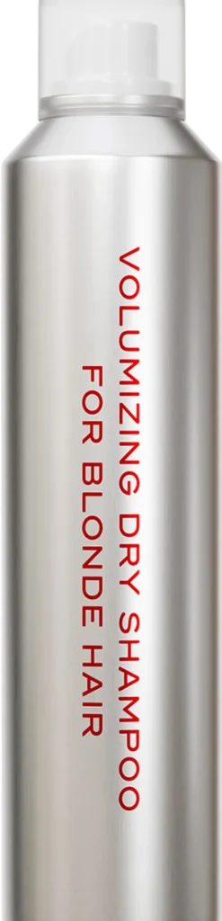 Volumizing Dry Shampoo|THE EVERY Hot